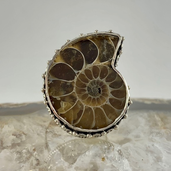 💥NWOT💥 Beautiful Ammonite Nautilus Ring In Sterling Silver - Picture 1 of 3